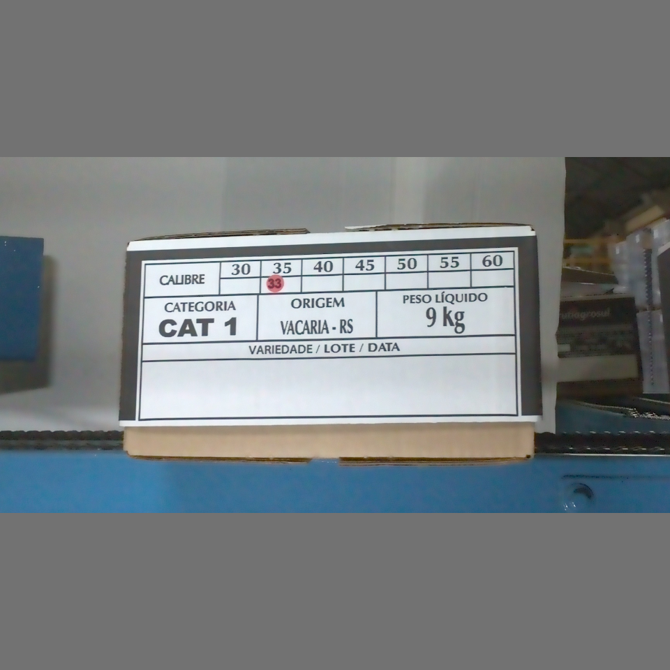 Candidata do calibre · central · 960 utilizado na inferência