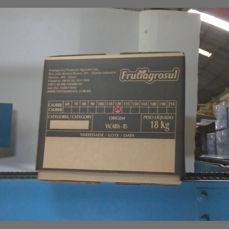 Candidata do calibre · central · 960 utilizado na inferência