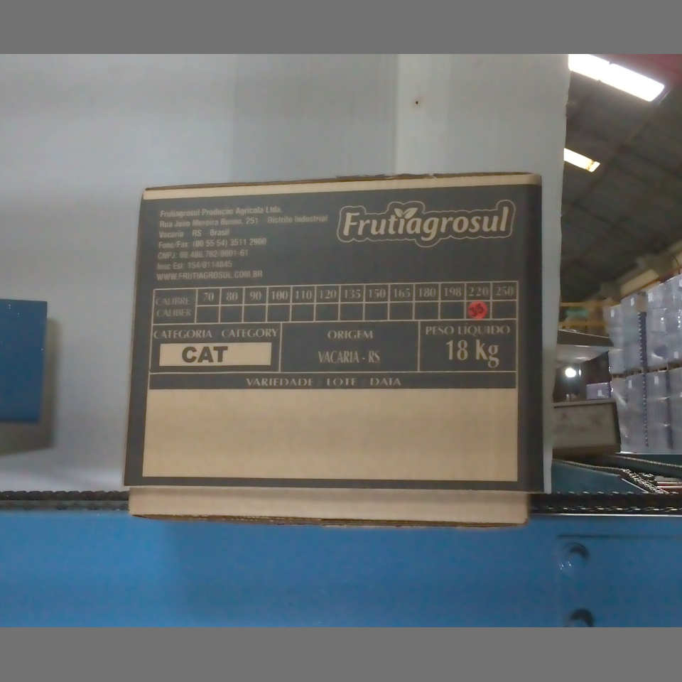 Candidata do calibre · central · 960 utilizado na inferência