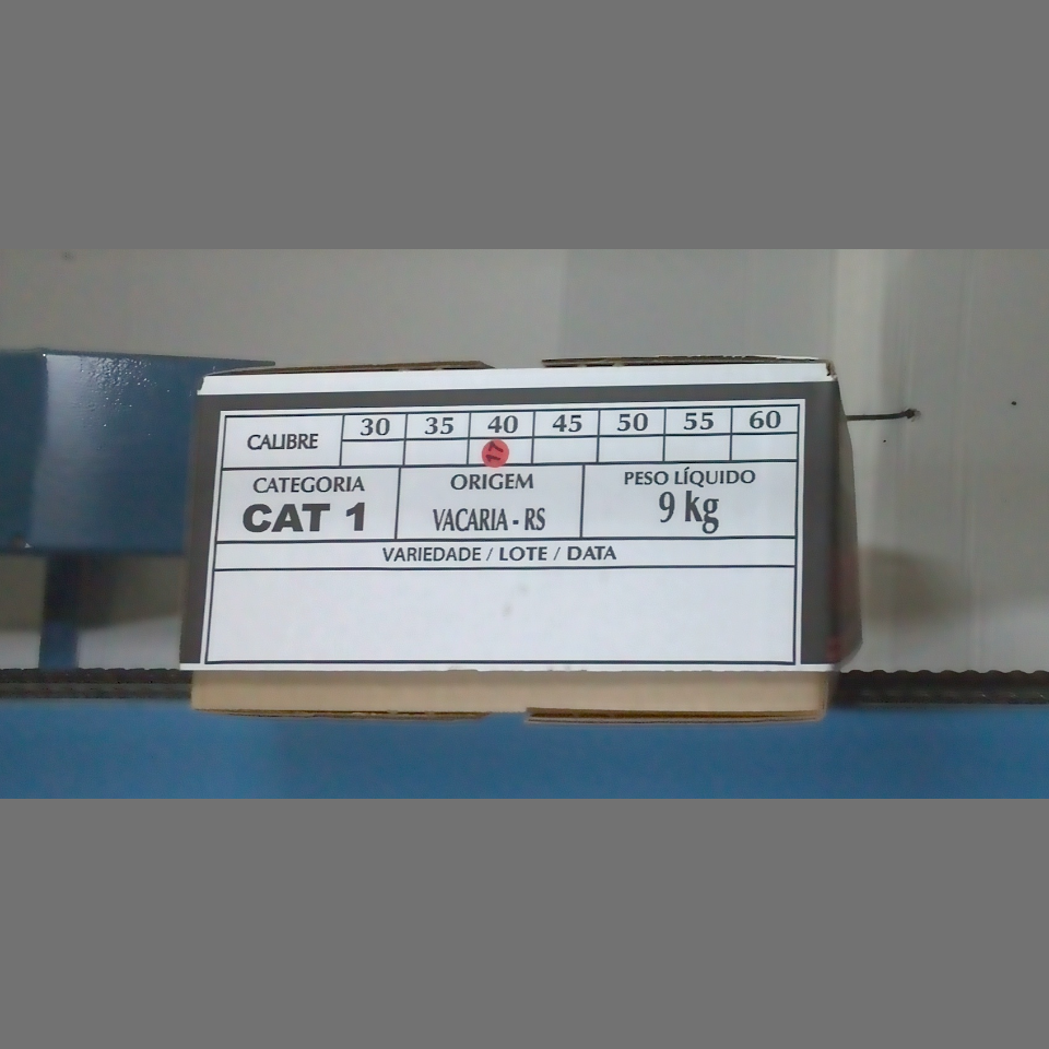 Candidata do calibre · central · 960 utilizado na inferência