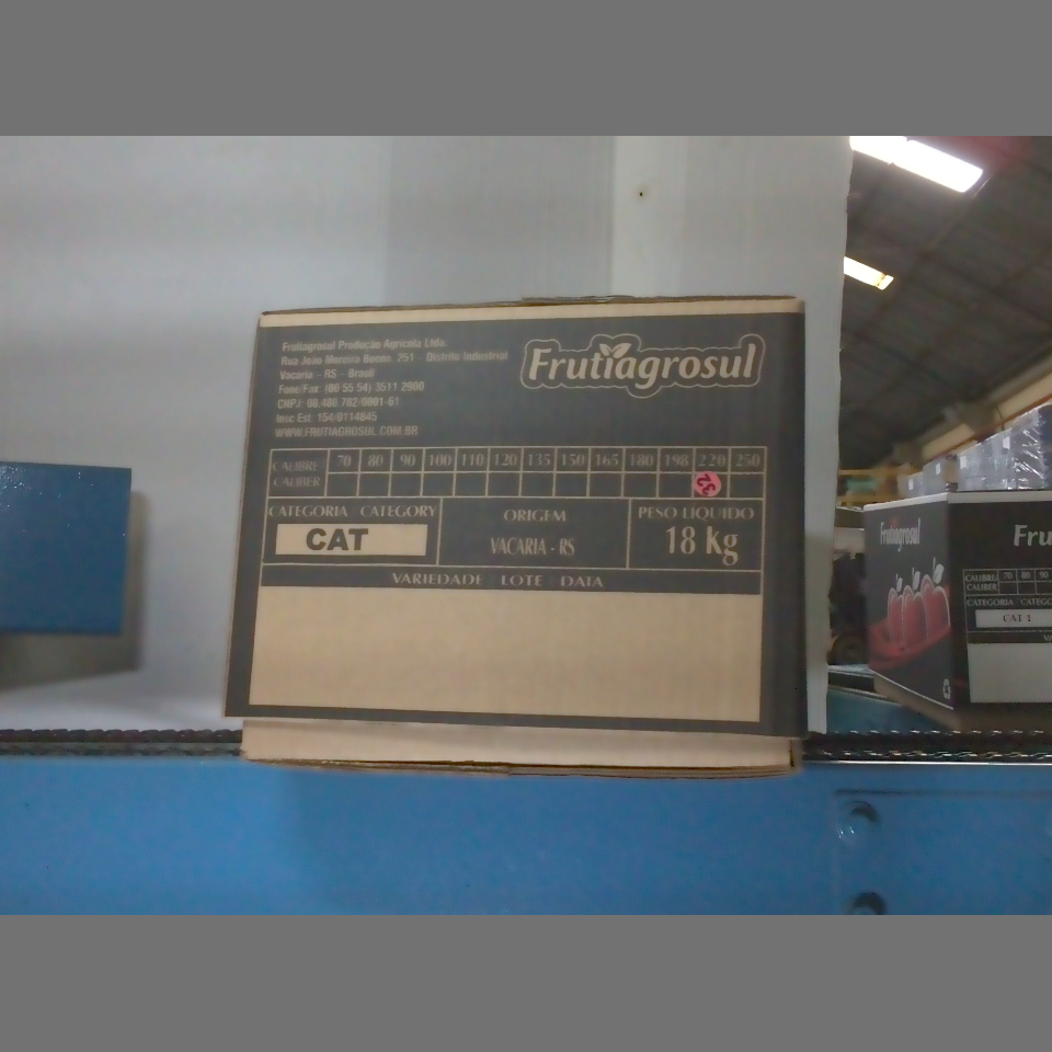 Candidata do calibre · central · 960 utilizado na inferência