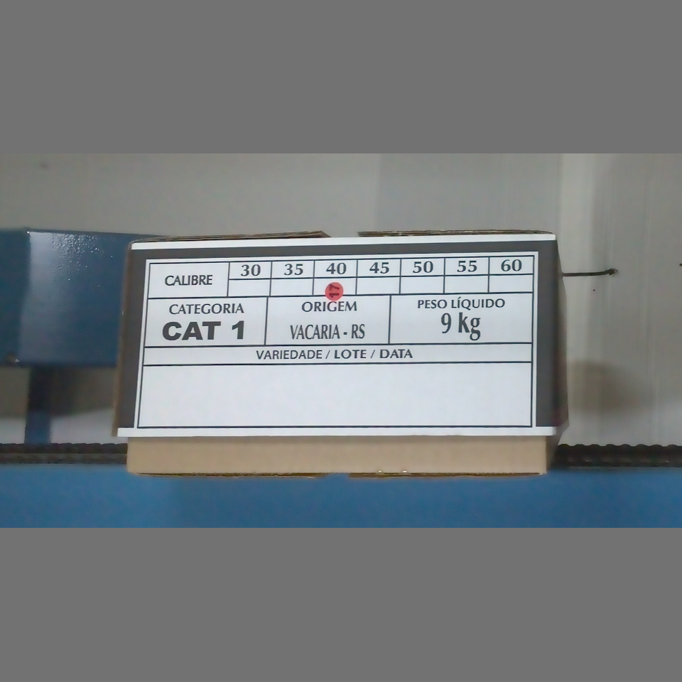 Candidata do calibre · central · 960 utilizado na inferência