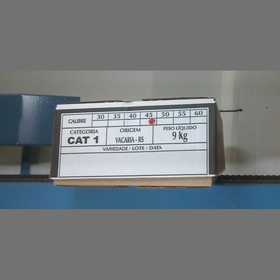 Candidata do calibre · central · 960 utilizado na inferência