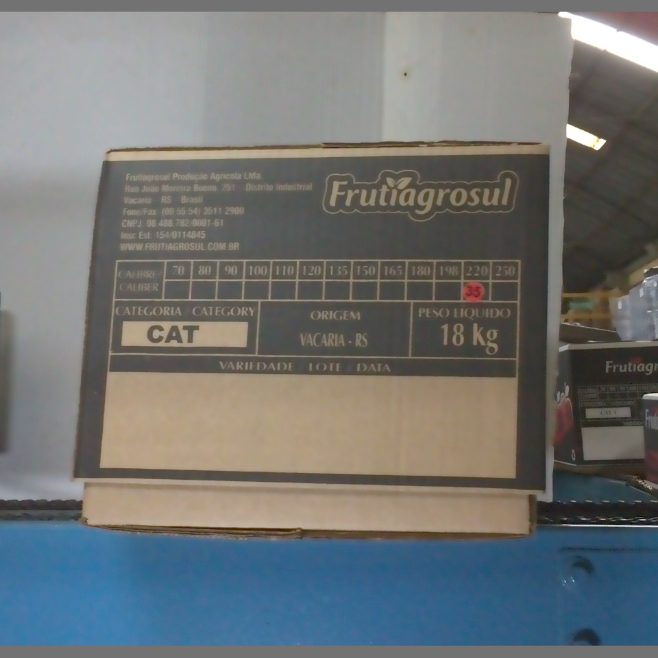 Candidata do calibre · central · 960 utilizado na inferência