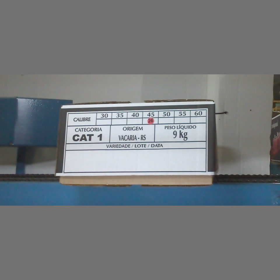 Candidata do calibre · central · 960 utilizado na inferência