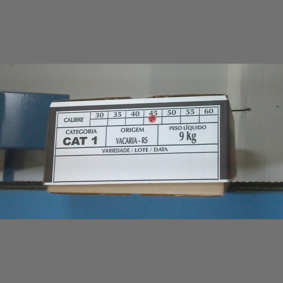 Candidata do calibre · central · 960 utilizado na inferência