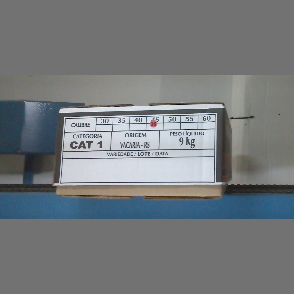 Candidata do calibre · central · 960 utilizado na inferência