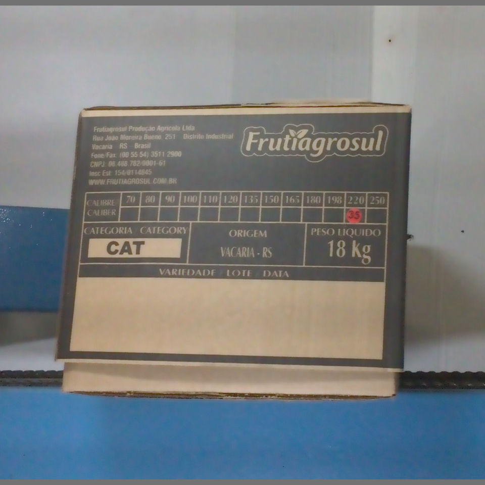 Candidata do calibre · central · 960 utilizado na inferência