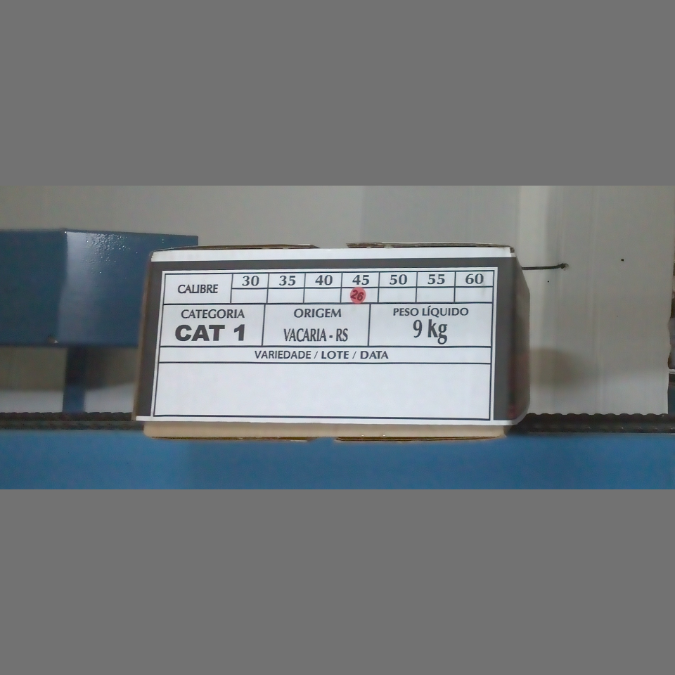 Candidata do calibre · central · 960 utilizado na inferência