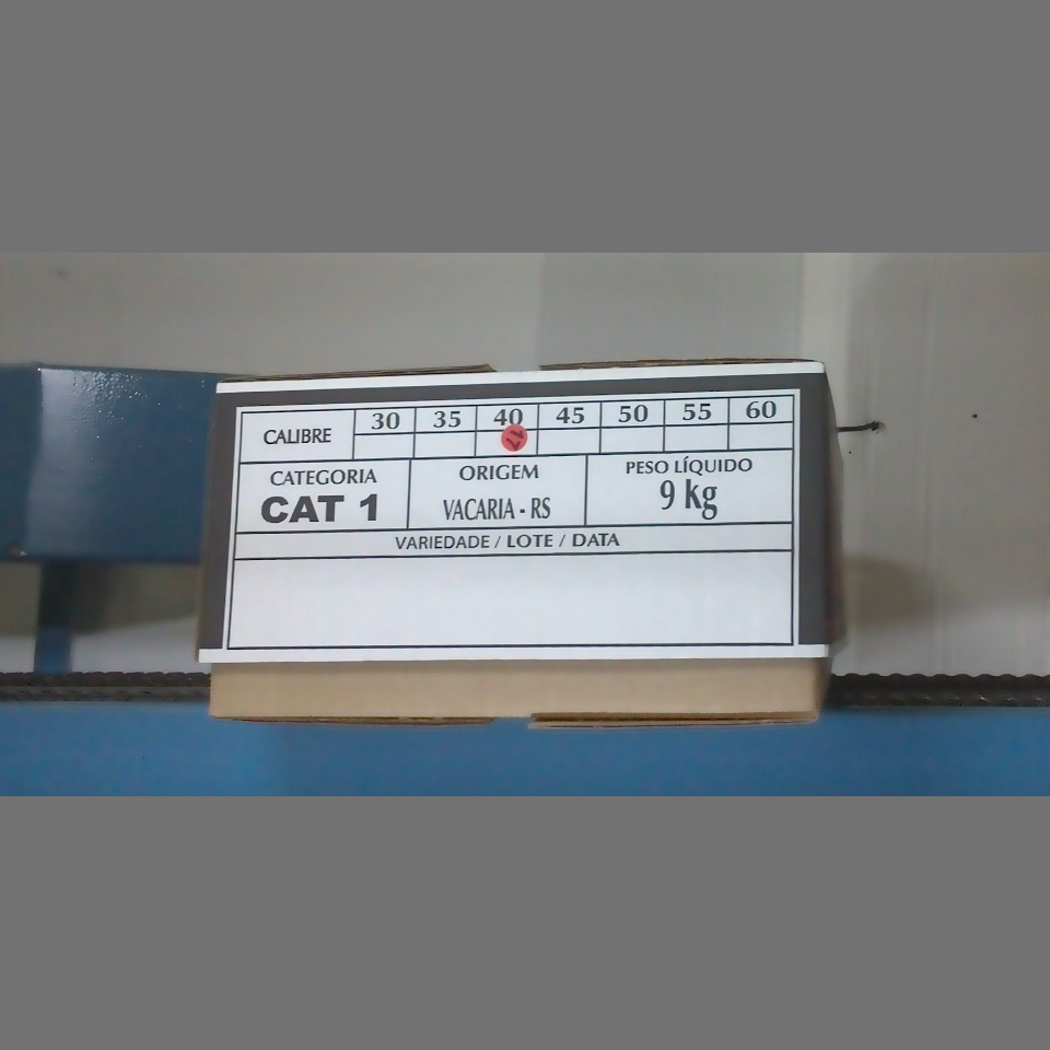 Candidata do calibre · central · 960 utilizado na inferência