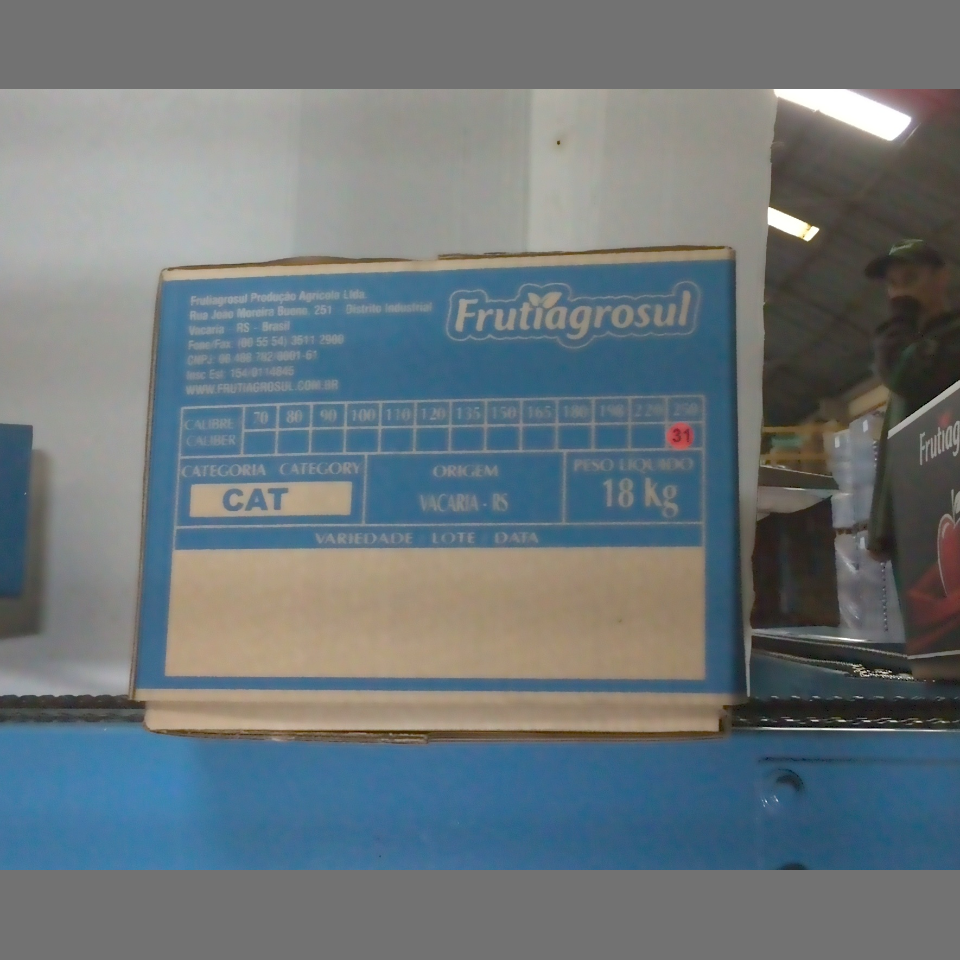 Candidata do calibre · central · 960 utilizado na inferência