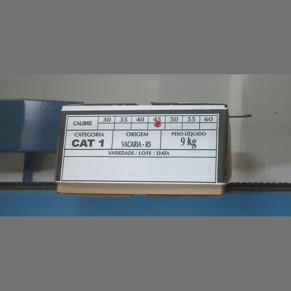 Candidata do calibre · central · 960 utilizado na inferência