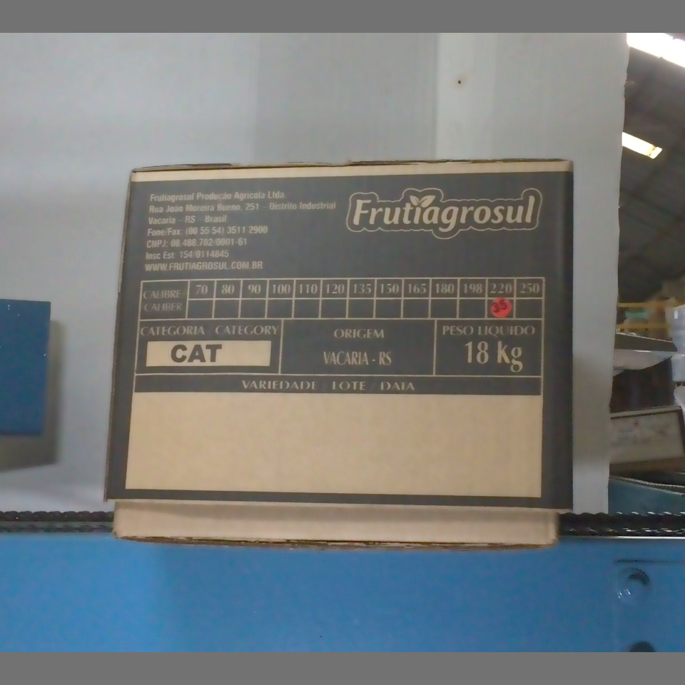 Candidata do calibre · central · 960 utilizado na inferência
