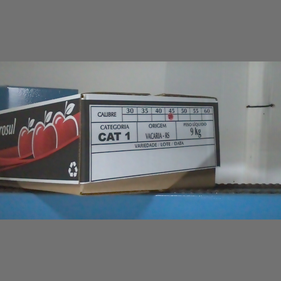 Candidata do calibre · central · 960 utilizado na inferência