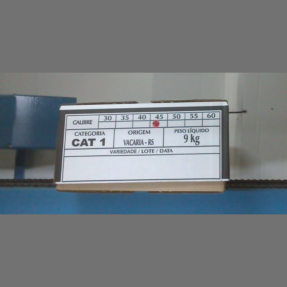Candidata do calibre · central · 960 utilizado na inferência