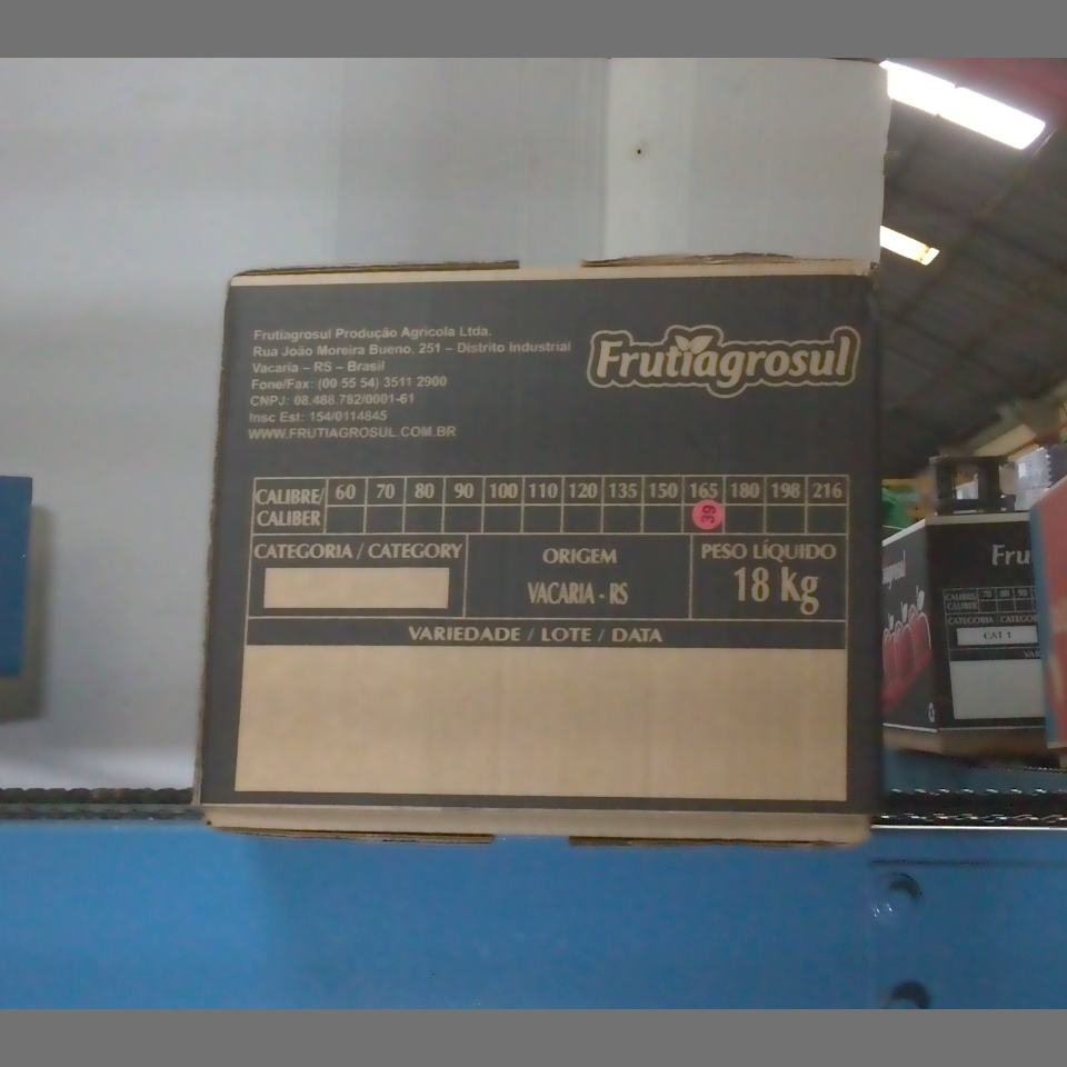 Candidata do calibre · central · 960 utilizado na inferência
