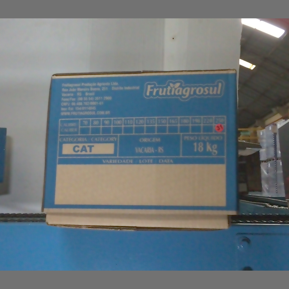 Candidata do calibre · central · 960 utilizado na inferência