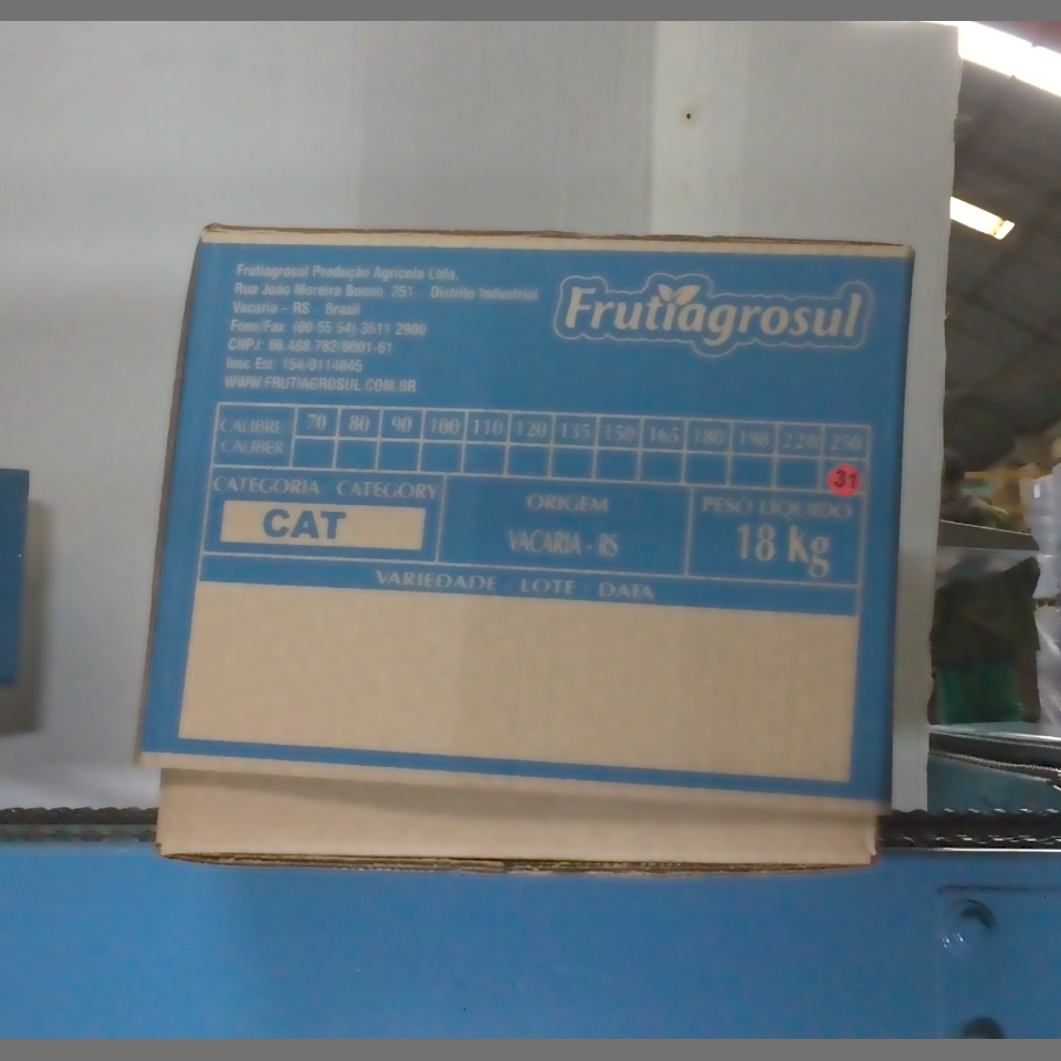Candidata do calibre · central · 960 utilizado na inferência