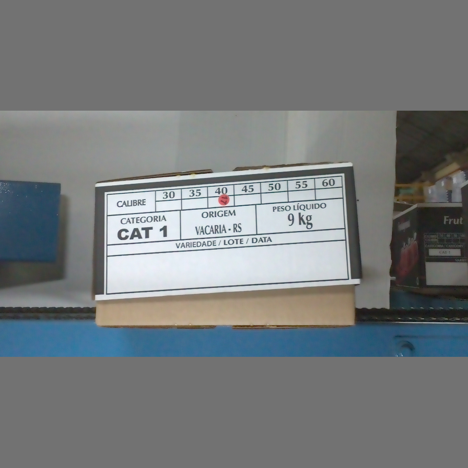 Candidata do calibre · central alternativa · 960 utilizado na inferência