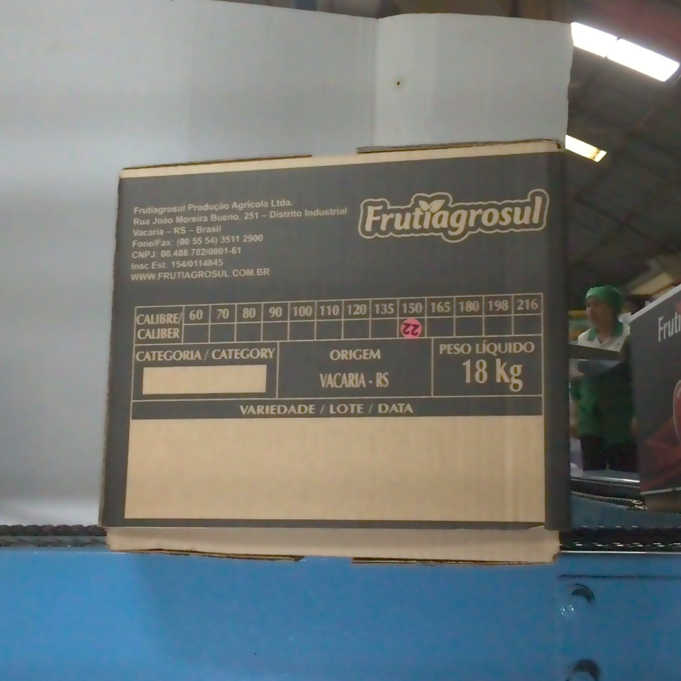 Candidata do calibre · central · 960 utilizado na inferência