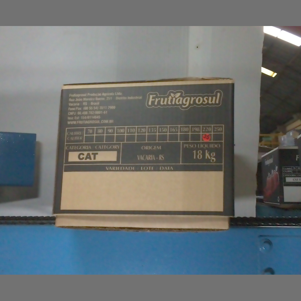 Candidata do calibre · central · 960 utilizado na inferência