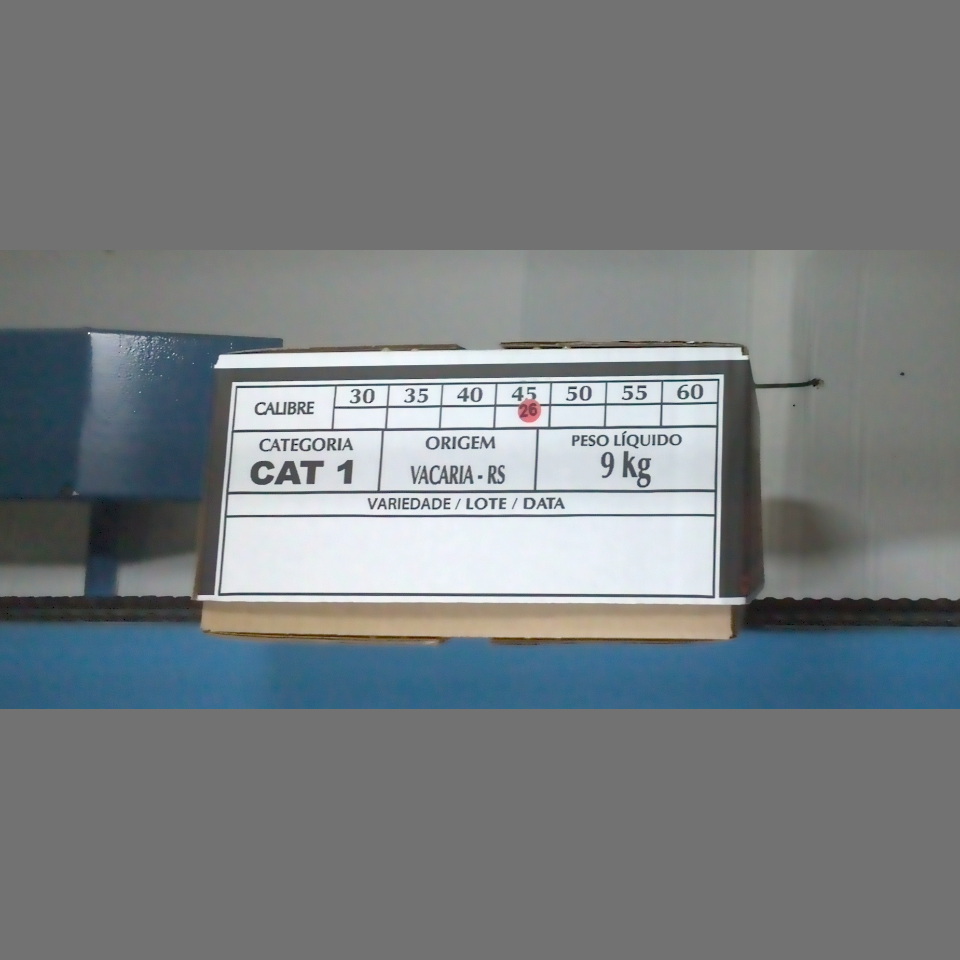 Candidata do calibre · central · 960 utilizado na inferência