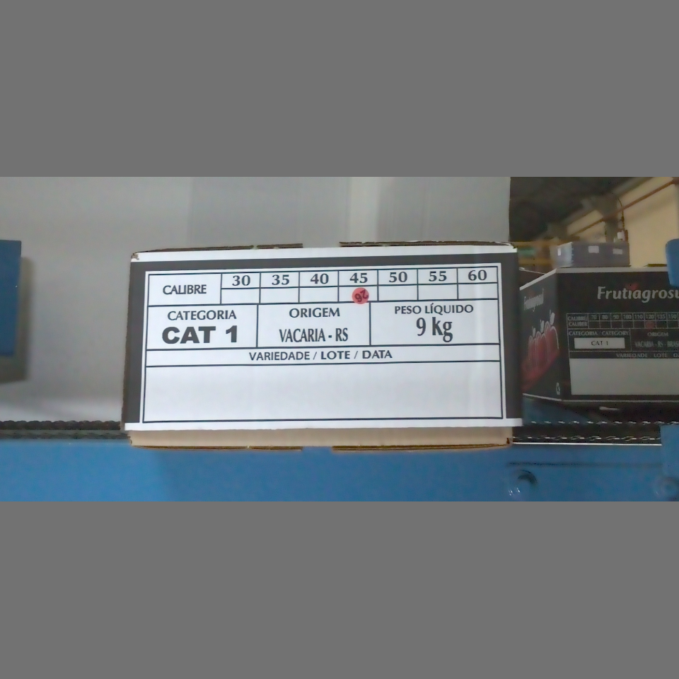 Candidata do calibre · central · 960 utilizado na inferência