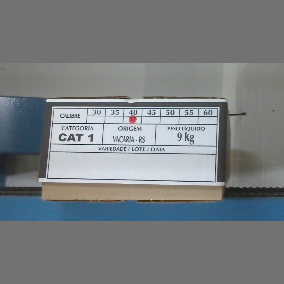 Candidata do calibre · central · 960 utilizado na inferência