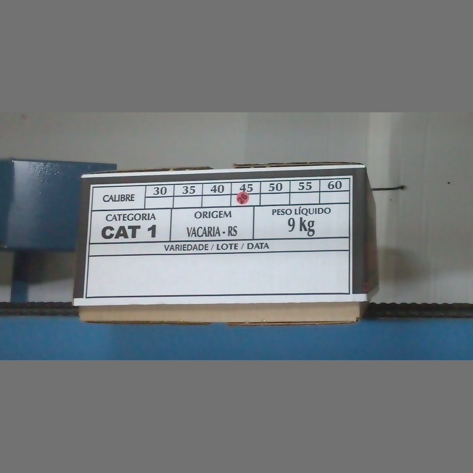 Candidata do calibre · central · 960 utilizado na inferência