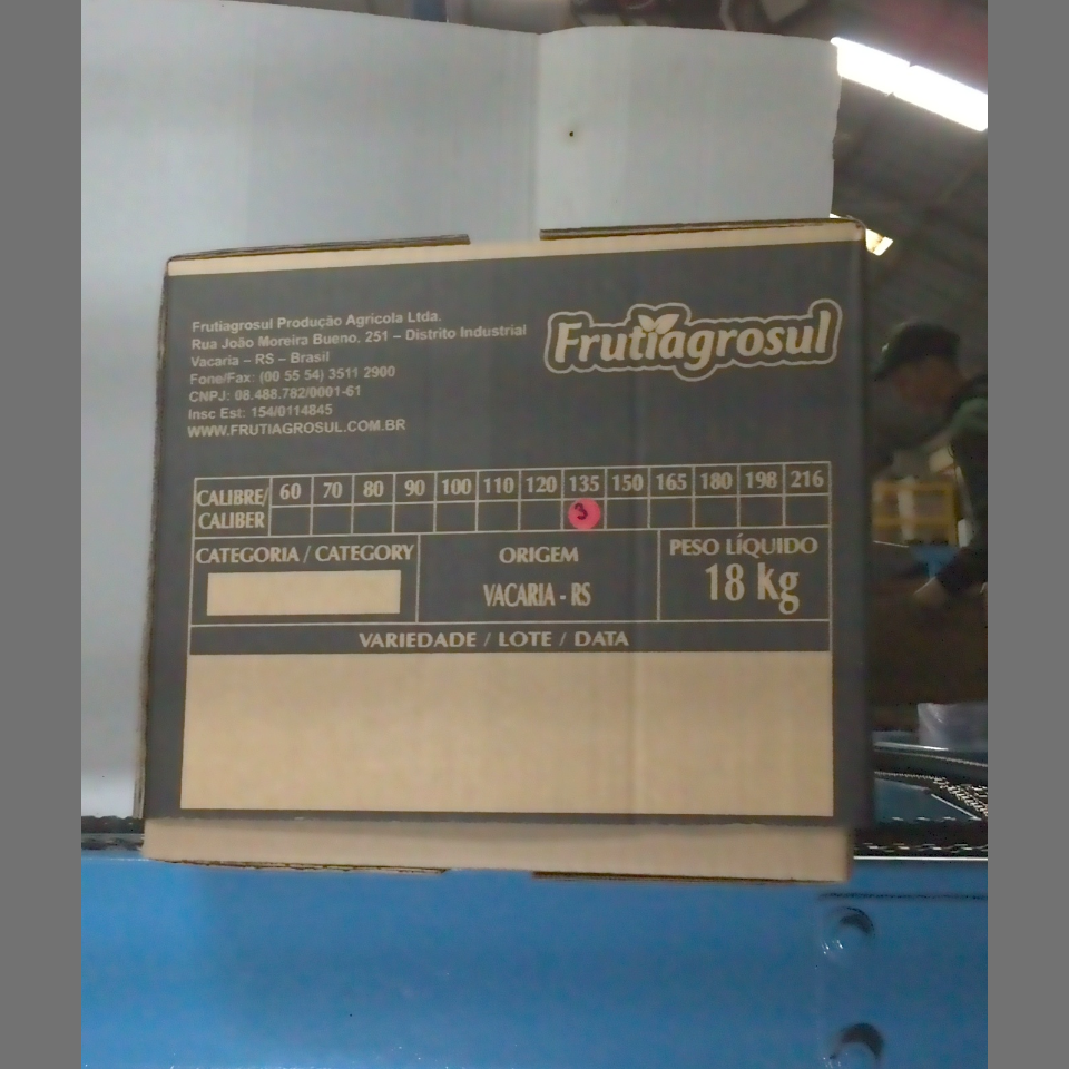 Candidata do calibre · central · 960 utilizado na inferência