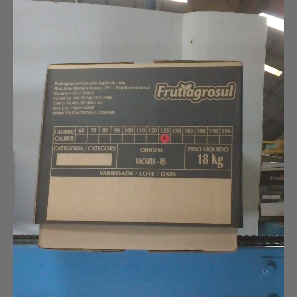 Candidata do calibre · central · 960 utilizado na inferência