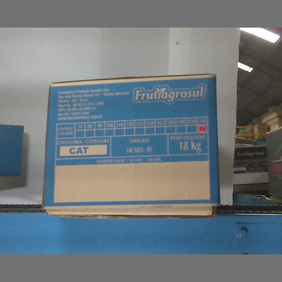 Candidata do calibre · central · 960 utilizado na inferência