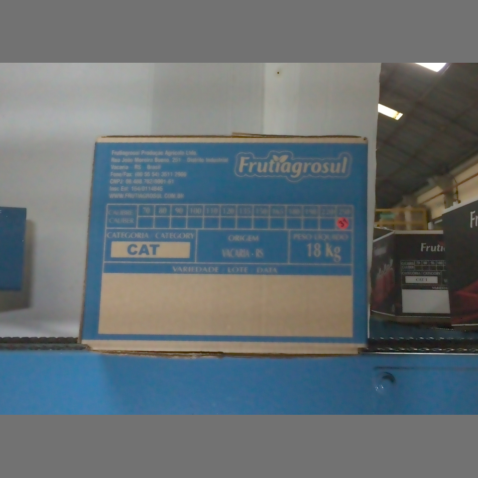 Candidata do calibre · central · 960 utilizado na inferência