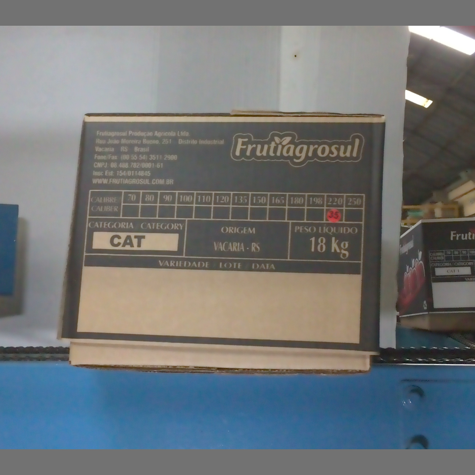 Candidata do calibre · central · 960 utilizado na inferência