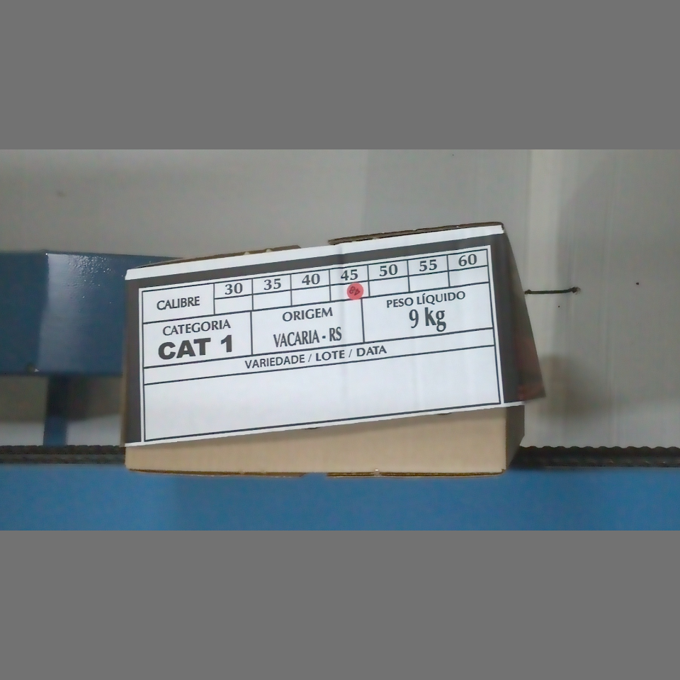 Candidata do calibre · central · 960 utilizado na inferência