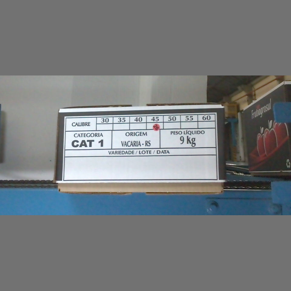 Candidata do calibre · central · 960 utilizado na inferência