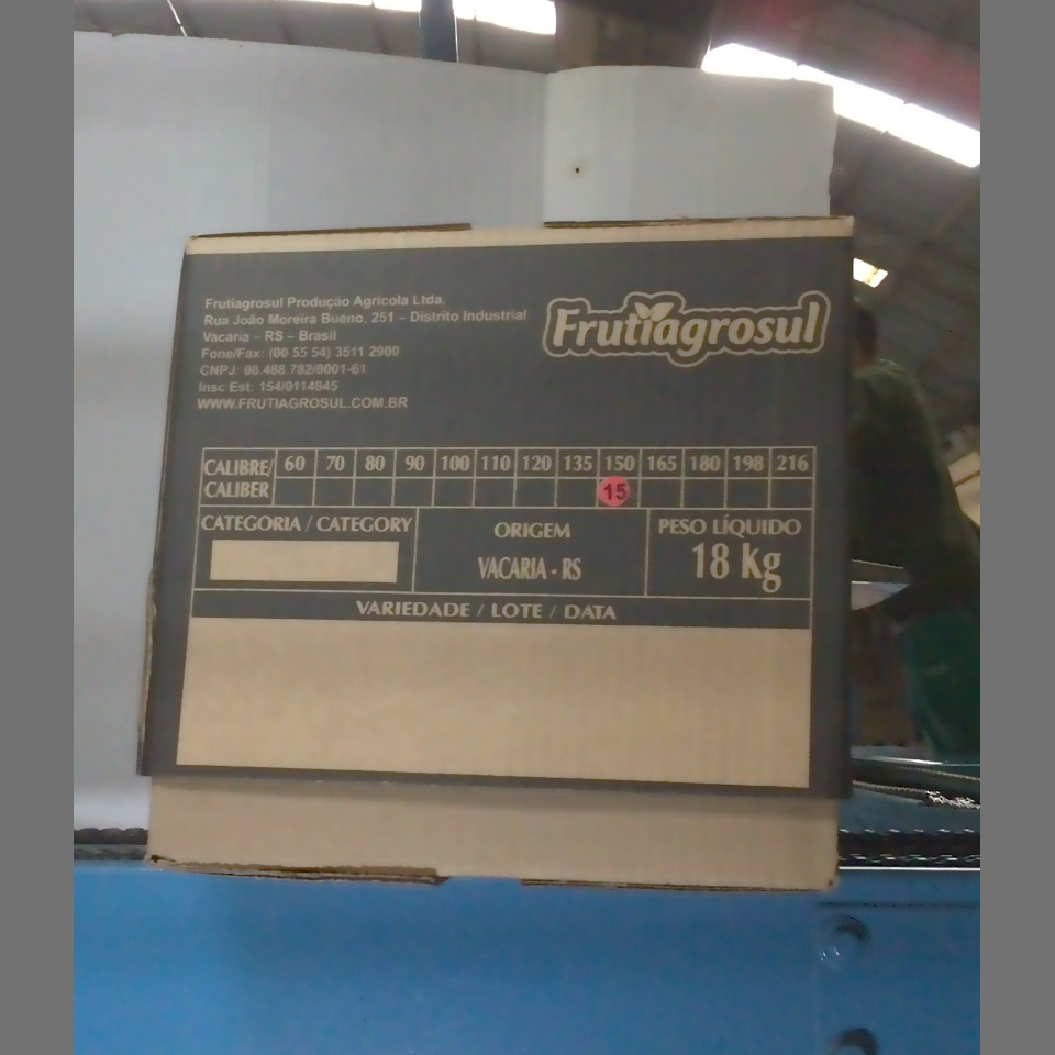 Candidata do calibre · central · 960 utilizado na inferência
