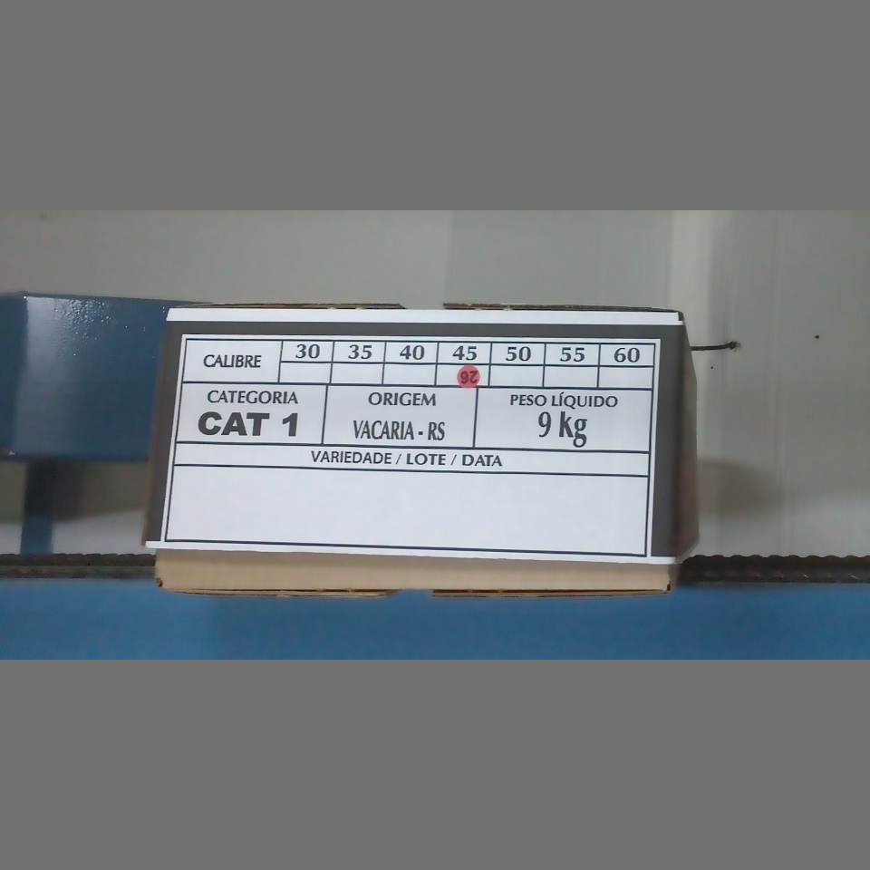 Candidata do calibre · central · 960 utilizado na inferência