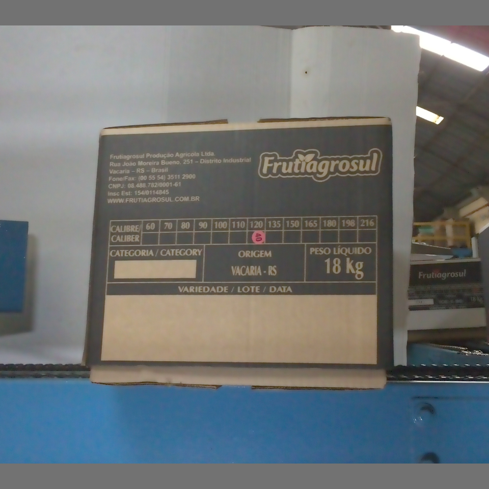 Candidata do calibre · central · 960 utilizado na inferência