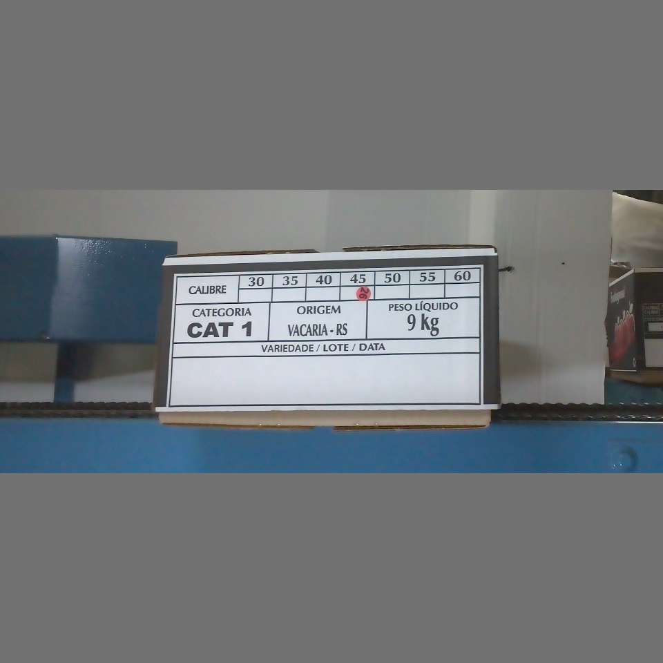 Candidata do calibre · central · 960 utilizado na inferência