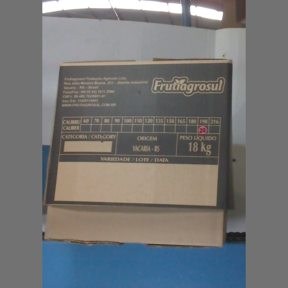 Candidata do calibre · central · 960 utilizado na inferência