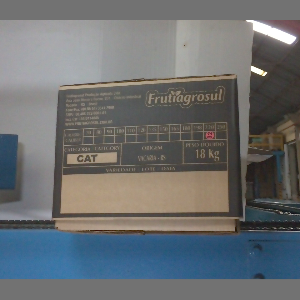 Candidata do calibre · central · 960 utilizado na inferência