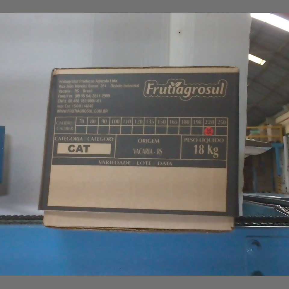 Candidata do calibre · central · 960 utilizado na inferência