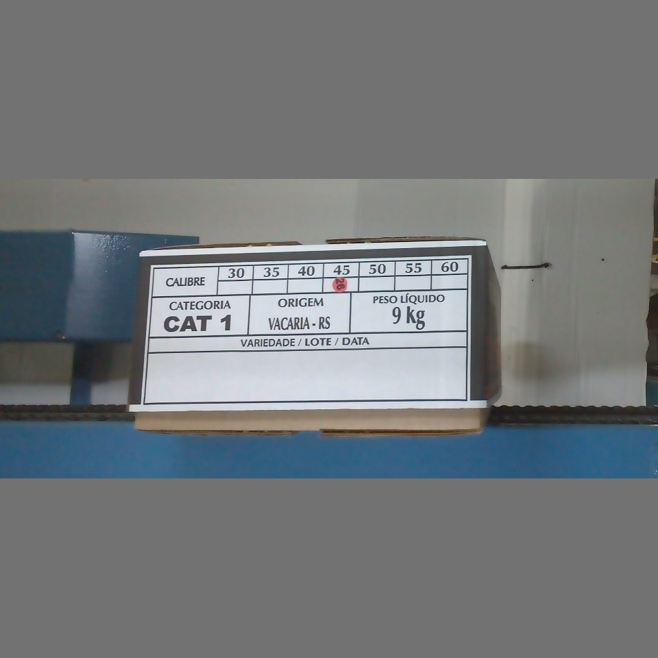 Candidata do calibre · central · 960 utilizado na inferência