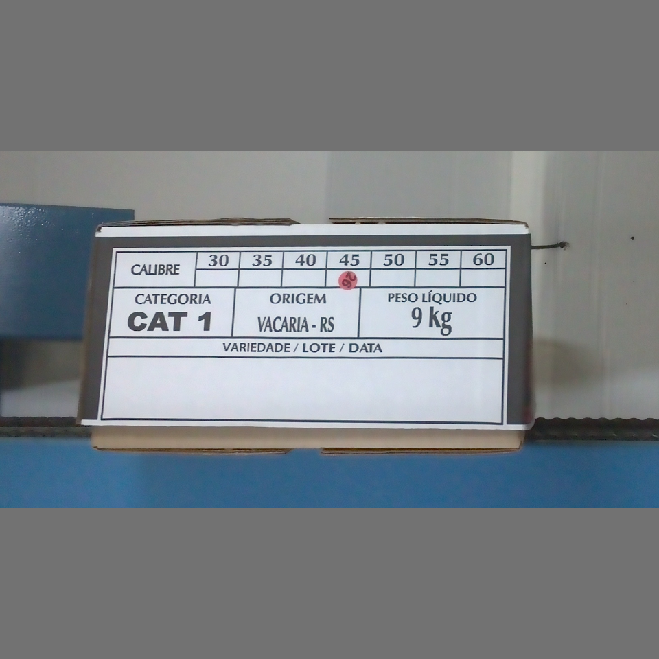 Candidata do calibre · central · 960 utilizado na inferência