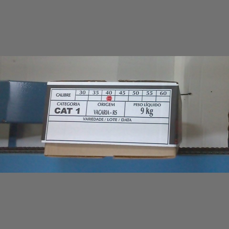 Candidata do calibre · central · 960 utilizado na inferência