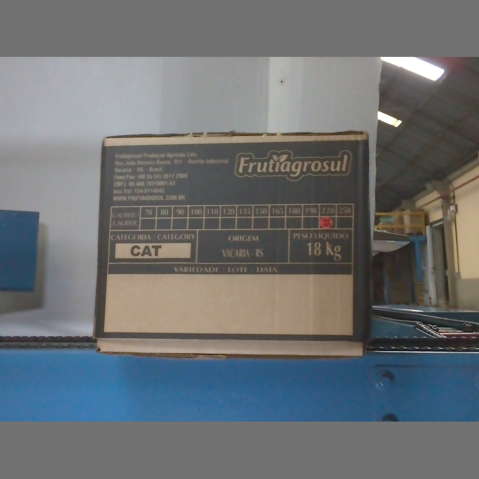 Candidata do calibre · central · 960 utilizado na inferência