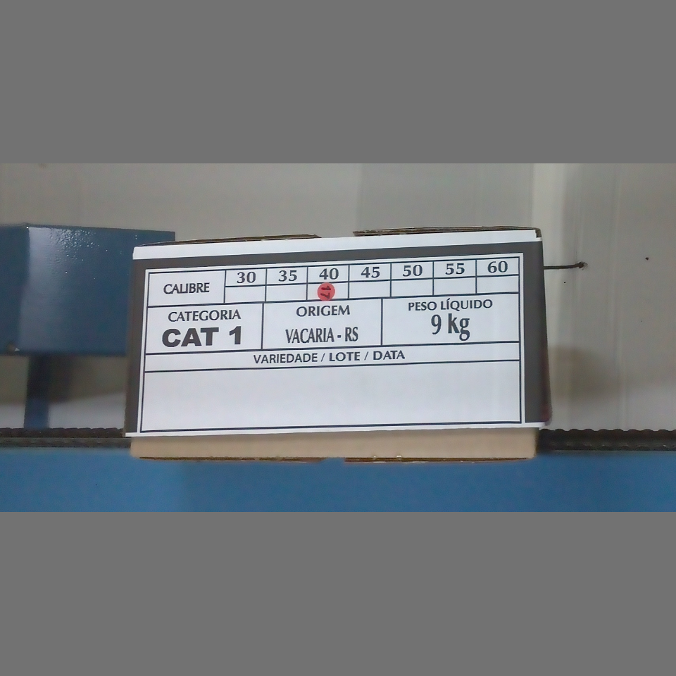 Candidata do calibre · central · 960 utilizado na inferência