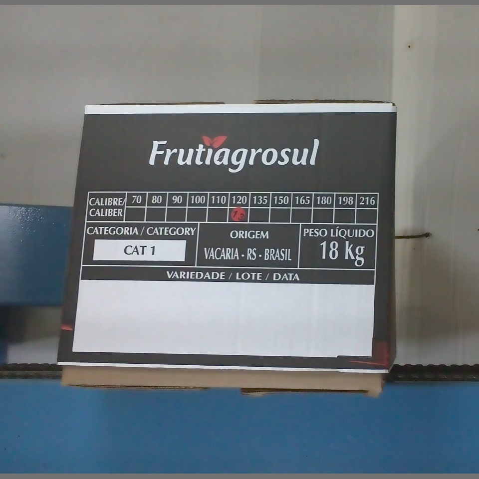 Candidata do calibre · central · 960 utilizado na inferência