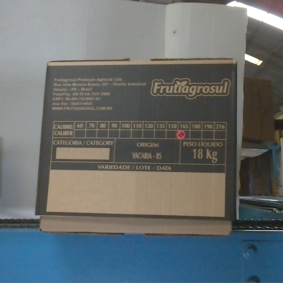 Candidata do calibre · central · 960 utilizado na inferência